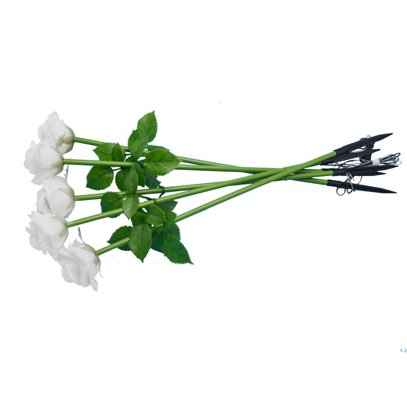 RGB グラウンドライト