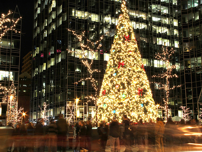 屋外公共エリアのクリスマスツリーライト